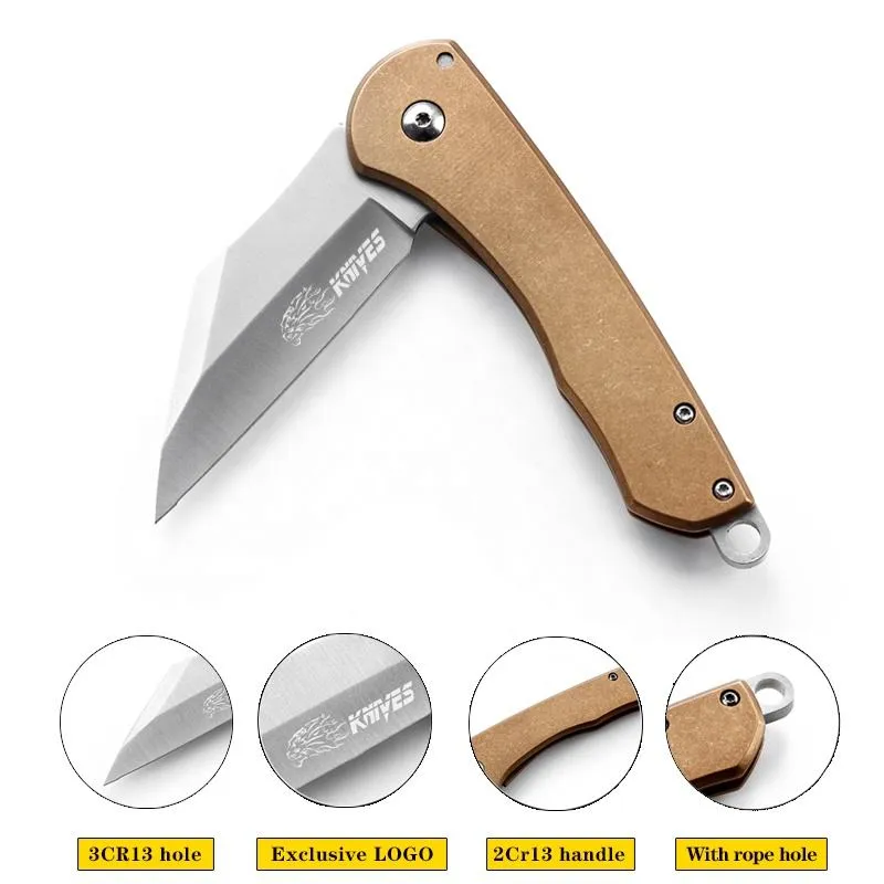Stainless Steel Tanto Point Titanium Coating Pocket Knife Frame Lock Folding Blade Camping Knives Satin Polished Blade Survival