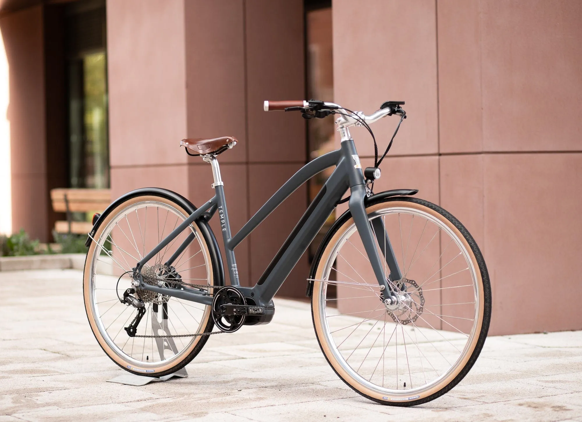 Temple Step Through Electric Bike