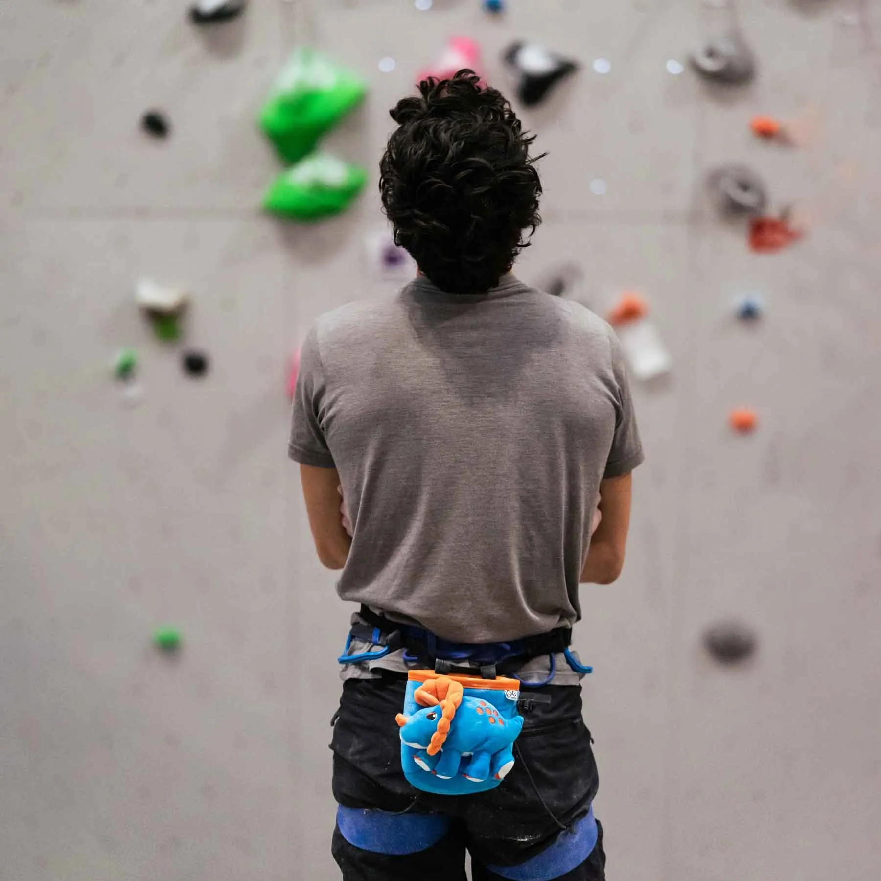 Triceratops Rock Climbing Chalk Bag
