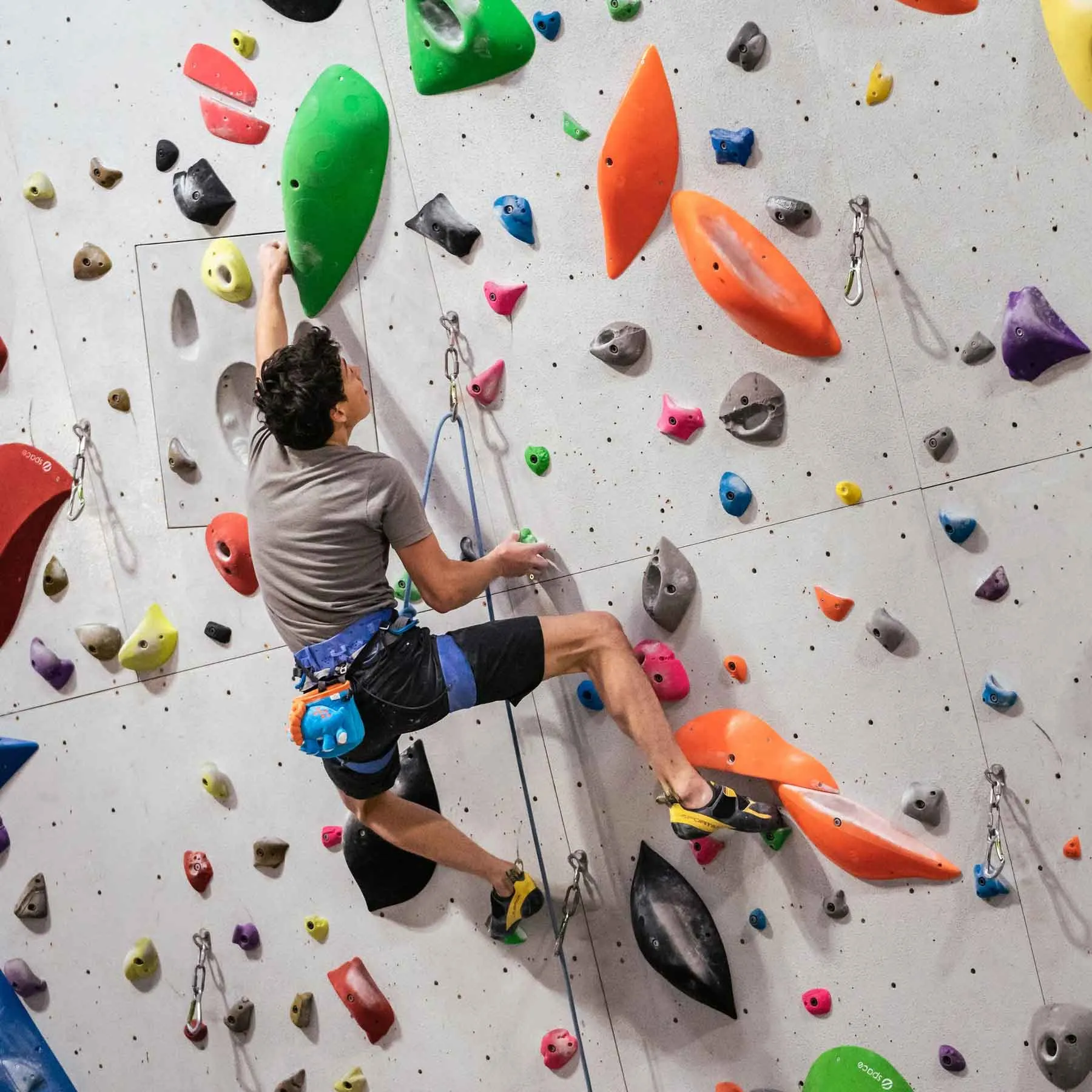 Triceratops Rock Climbing Chalk Bag