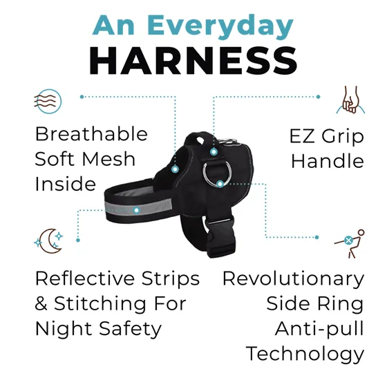 Winter Snowflake Joyride Basic Essential Dog Harness 1.0